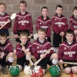 Random image: Boys Indoor Hurling